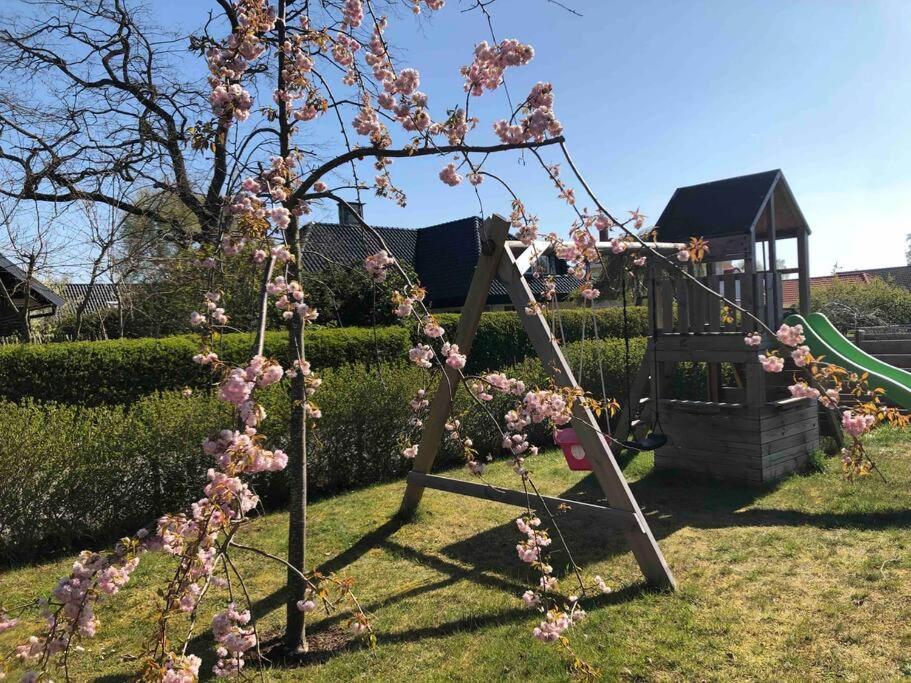 Villa Lyckehusen Löddeköpinge Kültér fotó