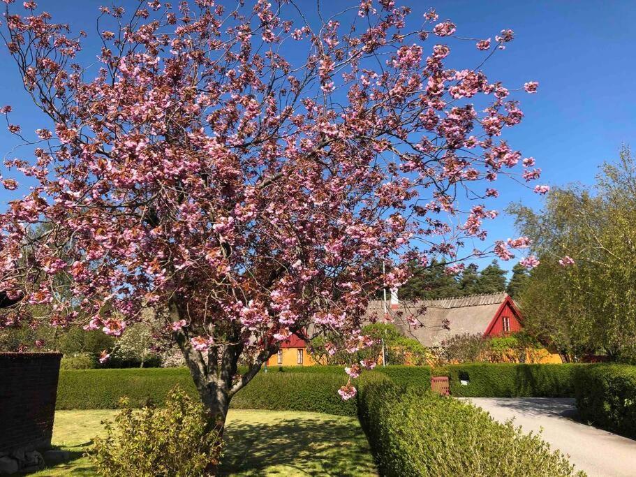 Villa Lyckehusen Löddeköpinge Kültér fotó